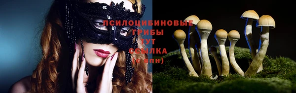 ECSTASY Медвежьегорск