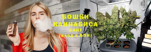 молекула духа Медногорск
